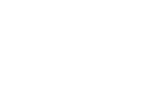 Brentwood auto detailing vancouver logo