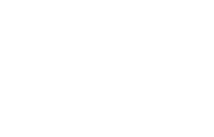 Brentwood Auto Detailing logo